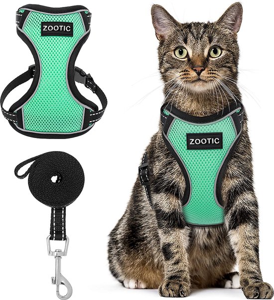 Zootic kattentuigje met lijn